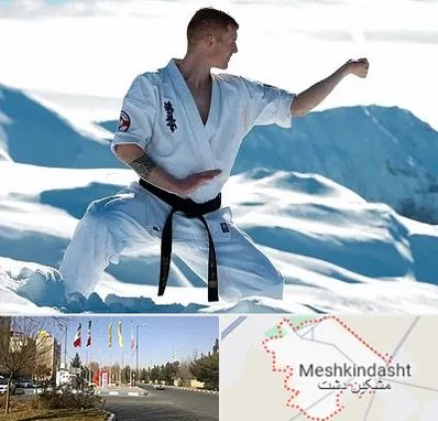 باشگاه کیوکوشین در مشکین دشت