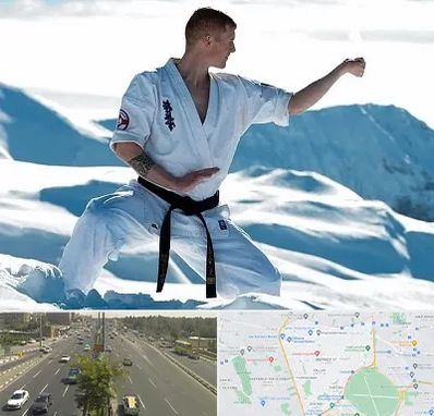 باشگاه کیوکوشین در منطقه 17 تهران 