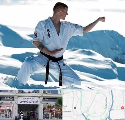 باشگاه کیوکوشین در ایران زمین