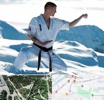 باشگاه کیوکوشین در سالاریه قم