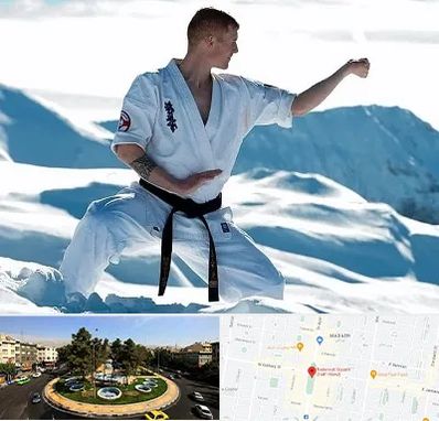 باشگاه کیوکوشین در هفت حوض 