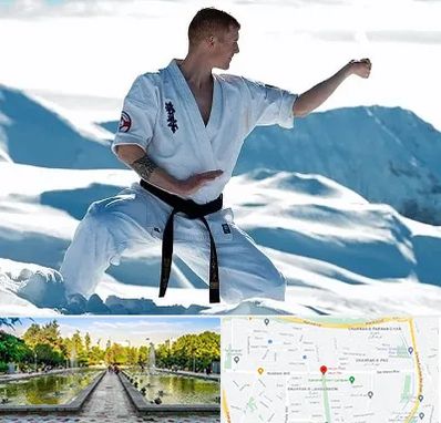 باشگاه کیوکوشین در سرسبز 