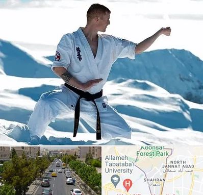 باشگاه کیوکوشین در شهران 