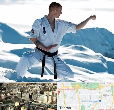 باشگاه کیوکوشین در مرزداران 