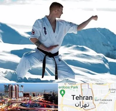 باشگاه کیوکوشین در صادقیه 