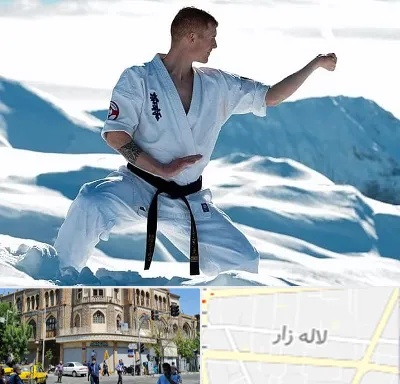 باشگاه کیوکوشین در لاله زار