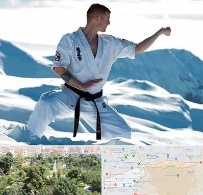 باشگاه کیوکوشین در منطقه 13 تهران 