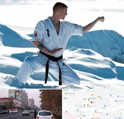 باشگاه کیوکوشین در کارگر شمالی 