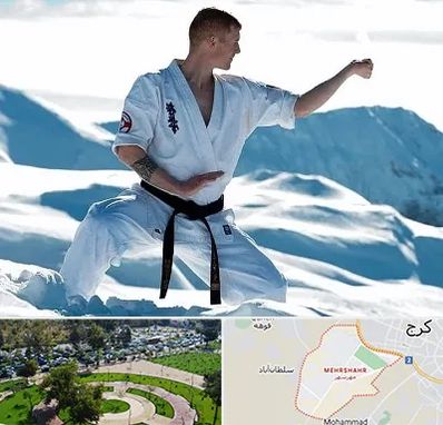باشگاه کیوکوشین در مهرشهر کرج 