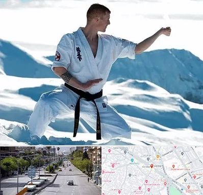 باشگاه کیوکوشین در خیابان زند شیراز