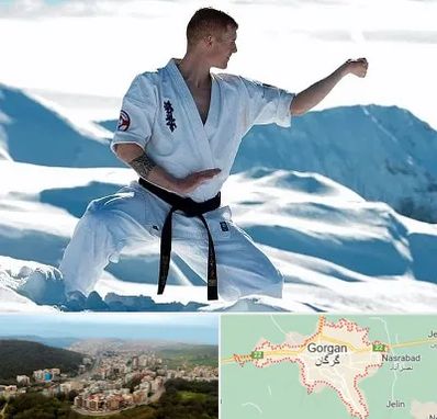 باشگاه کیوکوشین در گرگان