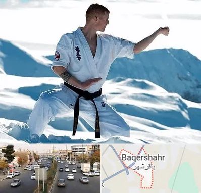 باشگاه کیوکوشین در باقرشهر