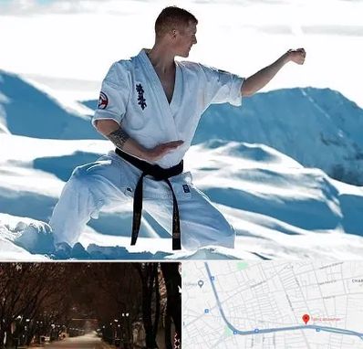 باشگاه کیوکوشین در ابوریحان تبریز