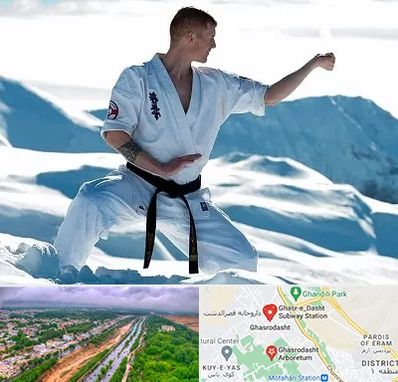 باشگاه کیوکوشین در قصرالدشت شیراز