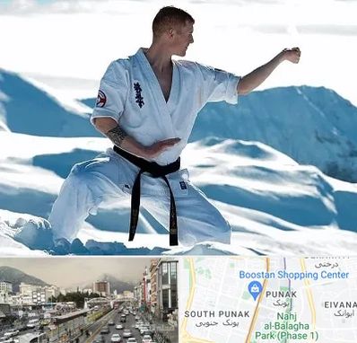 باشگاه کیوکوشین در پونک 