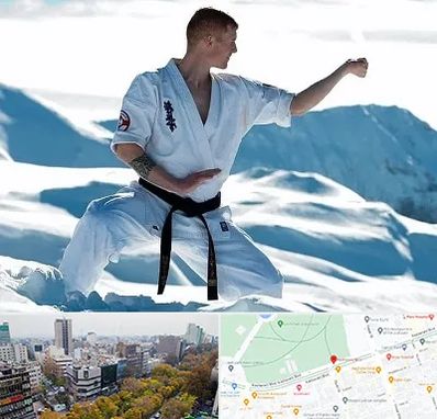 باشگاه کیوکوشین در بلوار کشاورز 