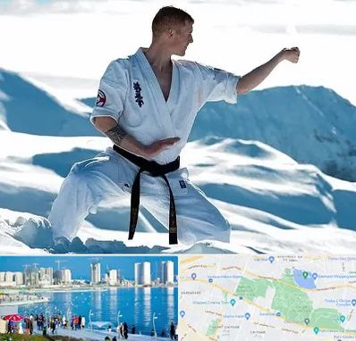 باشگاه کیوکوشین در چیتگر 