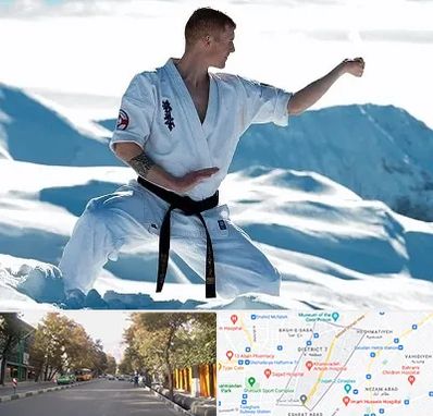 باشگاه کیوکوشین در شریعتی 