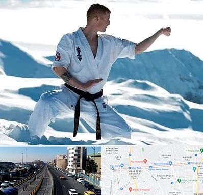 باشگاه کیوکوشین در پیروزی 