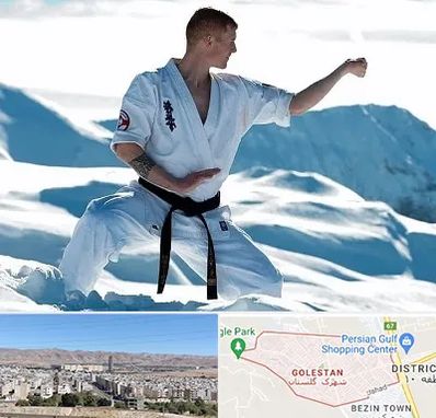 باشگاه کیوکوشین در شهرک گلستان شیراز