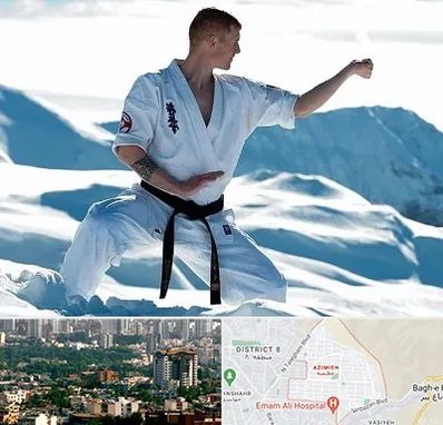 باشگاه کیوکوشین در عظیمیه کرج 