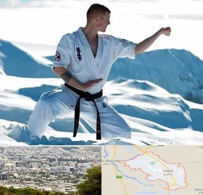 باشگاه کیوکوشین در یاسوج