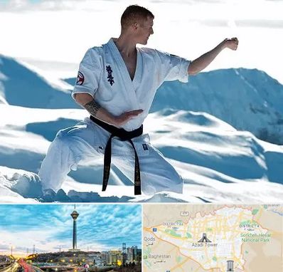 باشگاه کیوکوشین در تهران