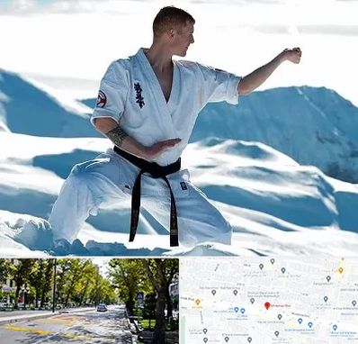 باشگاه کیوکوشین در میرداماد 