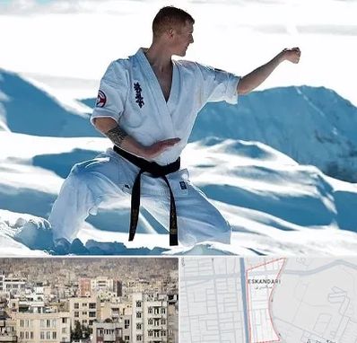 باشگاه کیوکوشین در اسکندری