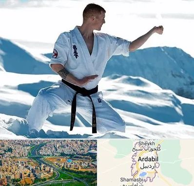 باشگاه کیوکوشین در اردبیل