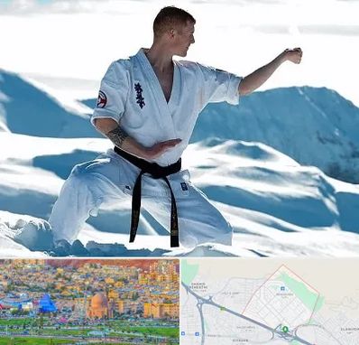 باشگاه کیوکوشین در رشدیه تبریز