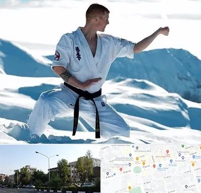 باشگاه کیوکوشین در میدان کاج 