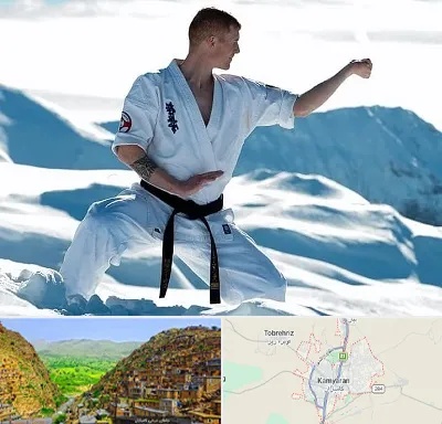 باشگاه کیوکوشین در کامیاران