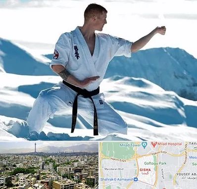 باشگاه کیوکوشین در گیشا 