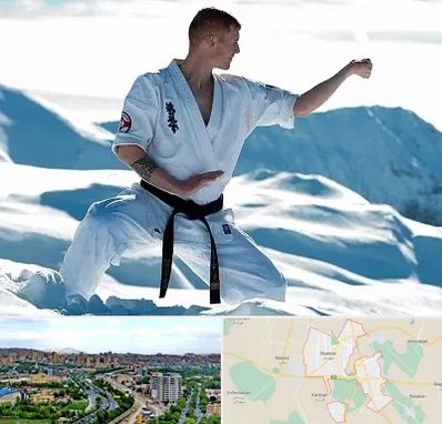 باشگاه کیوکوشین در شهریار