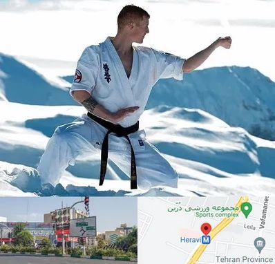 باشگاه کیوکوشین در هروی 