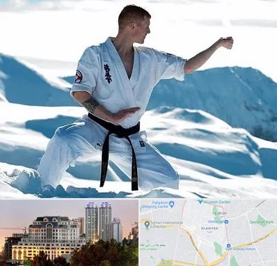 باشگاه کیوکوشین در فرشته 