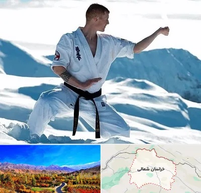 باشگاه کیوکوشین در خراسان شمالی