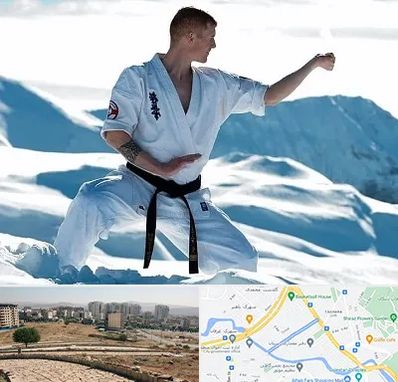 باشگاه کیوکوشین در کوی وحدت شیراز