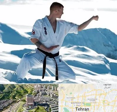 باشگاه کیوکوشین در شمال تهران 