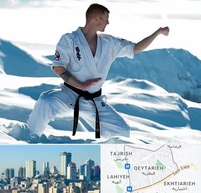 باشگاه کیوکوشین در قیطریه 