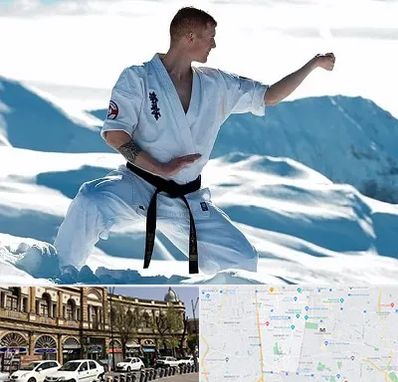 باشگاه کیوکوشین در منطقه 11 تهران 