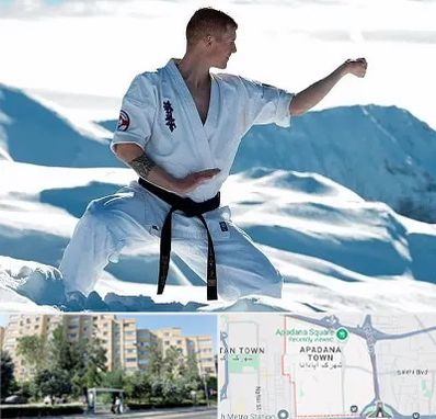 باشگاه کیوکوشین در آپادانا