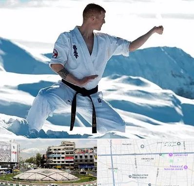 باشگاه کیوکوشین در مرکز تهران