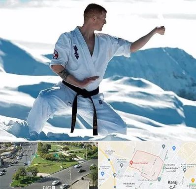 باشگاه کیوکوشین در شاهین ویلا کرج