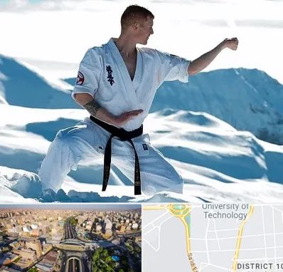 باشگاه کیوکوشین در استاد معین 