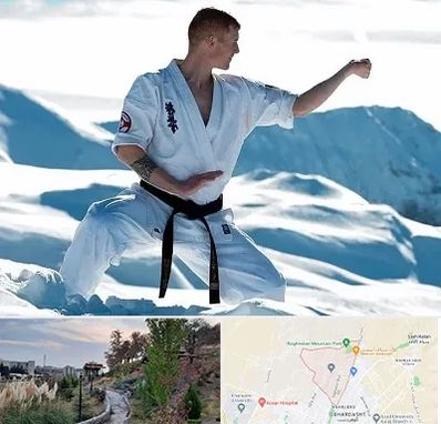 باشگاه کیوکوشین در باغستان کرج