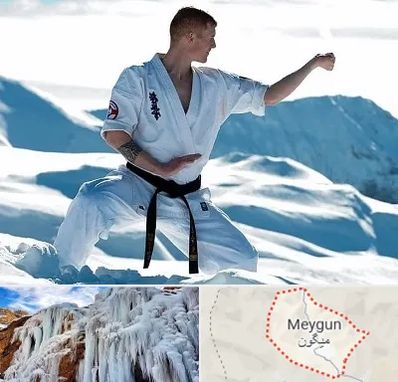 باشگاه کیوکوشین در میگون