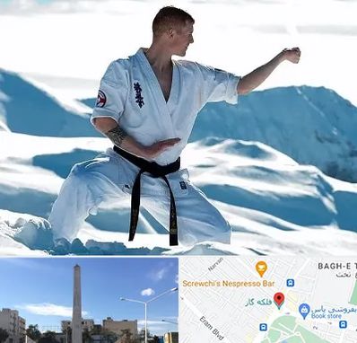 باشگاه کیوکوشین در فلکه گاز شیراز