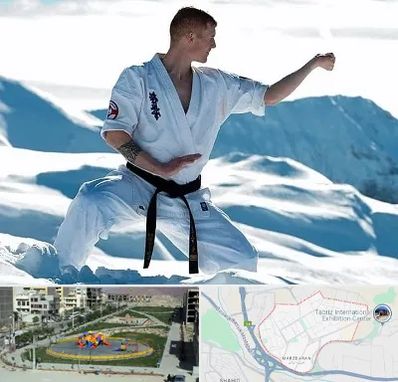 باشگاه کیوکوشین در مرزداران تبریز